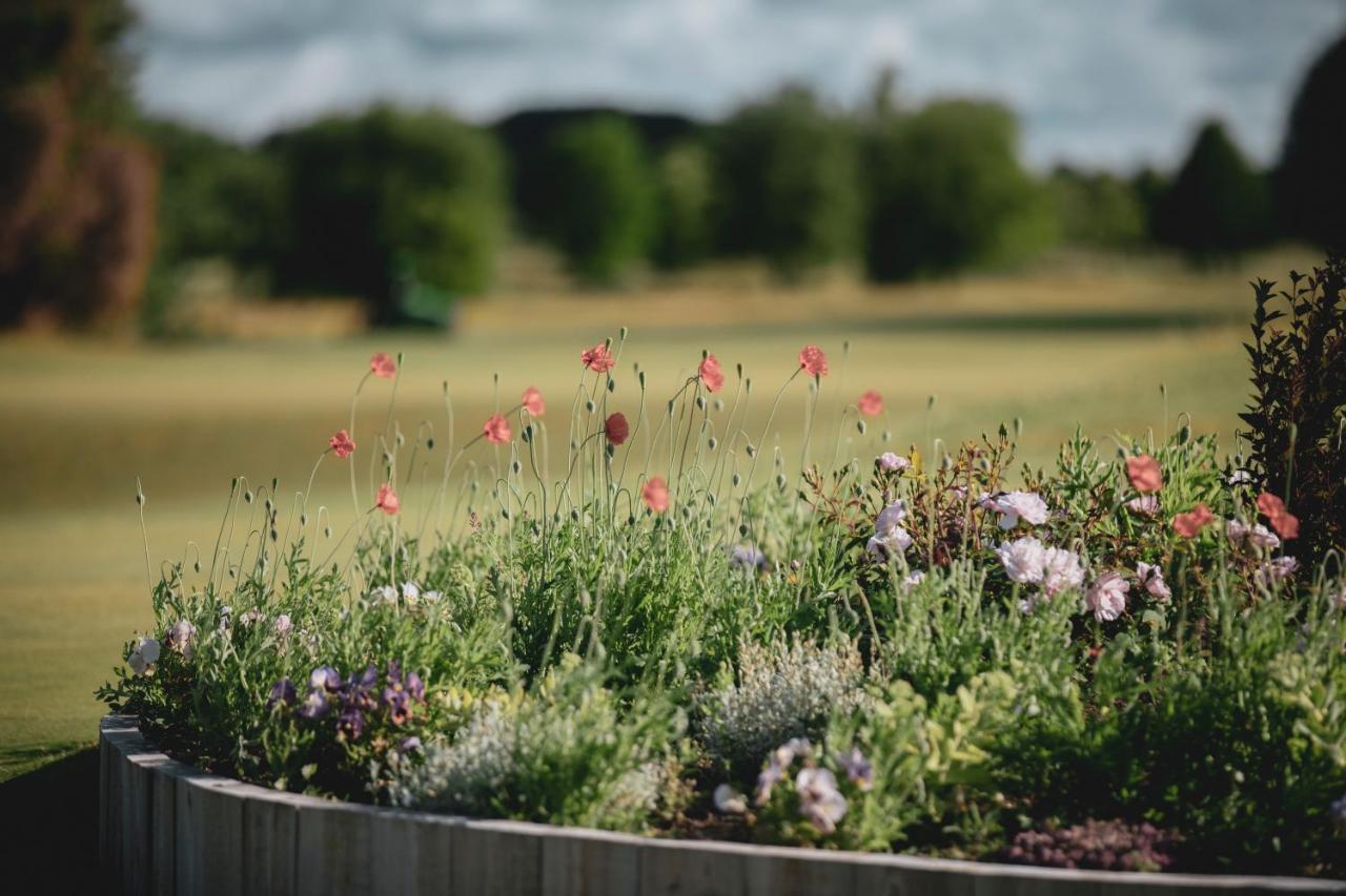 Gumbalde Resort Stånga Eksteriør billede